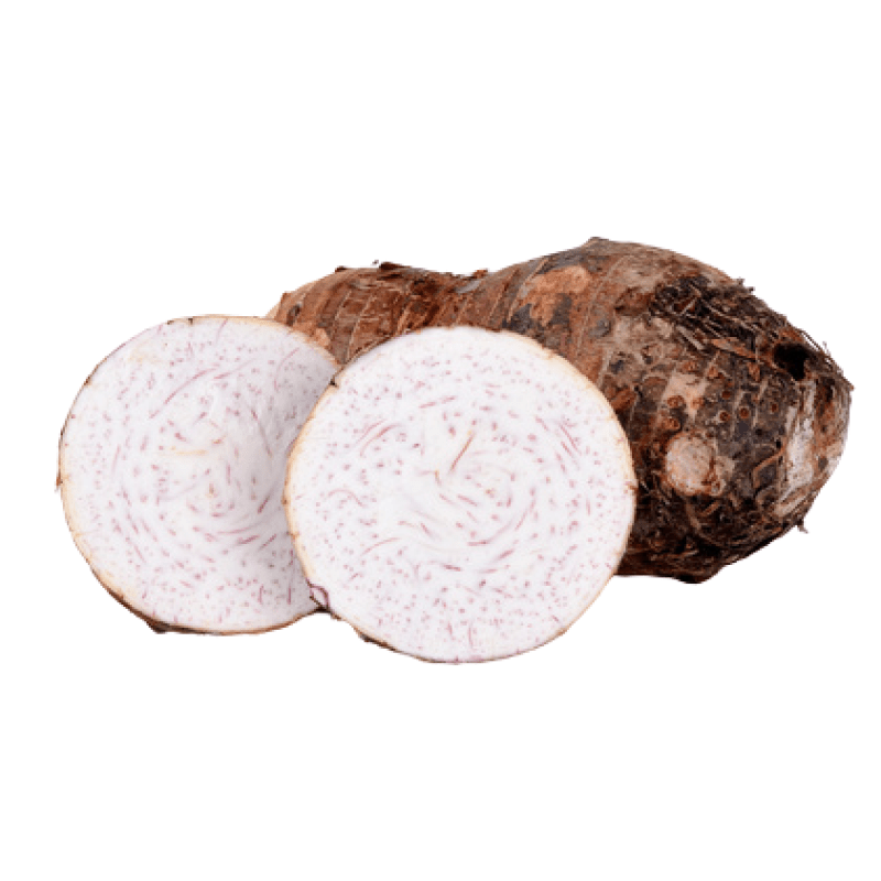 FRESH ARROWROOT